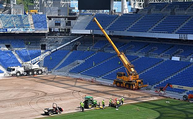 Galería. Las obras de la colocación del césped. 