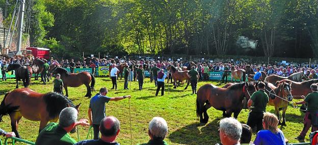Exhibición de todos los caballos participantes con un paseo ante el numeroso público.