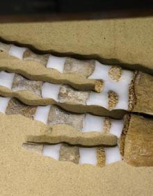 Imagen secundaria 2 - Imágenes actuales del esqueleto. 