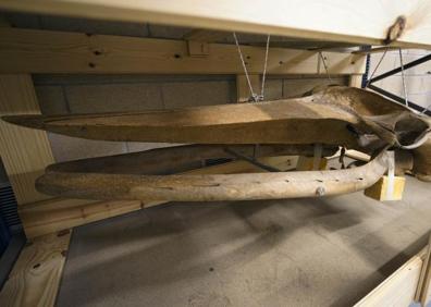 Imagen secundaria 1 - Imágenes actuales del esqueleto. 