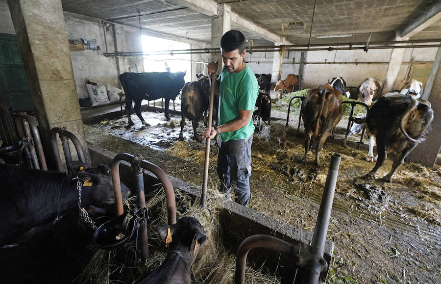 Gorka Iruretagoiena es un joven guipuzcoano que está orgulloso de formar parte del grupo de especialistas que hace sustituciones en un mundo, el rural, en el que es complejo tener días de fiesta