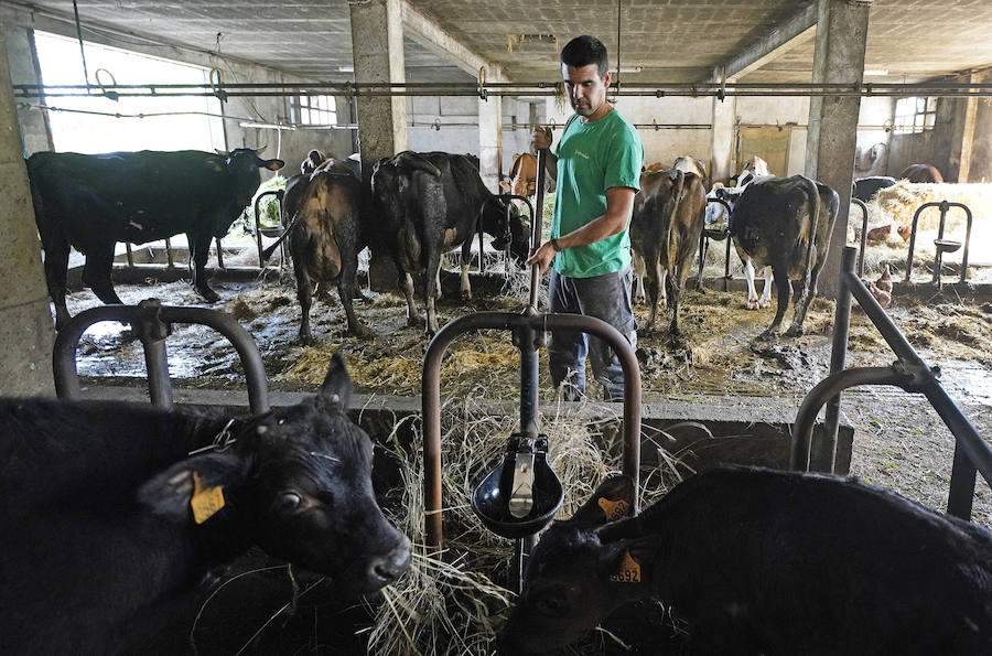 Gorka Iruretagoiena es un joven guipuzcoano que está orgulloso de formar parte del grupo de especialistas que hace sustituciones en un mundo, el rural, en el que es complejo tener días de fiesta