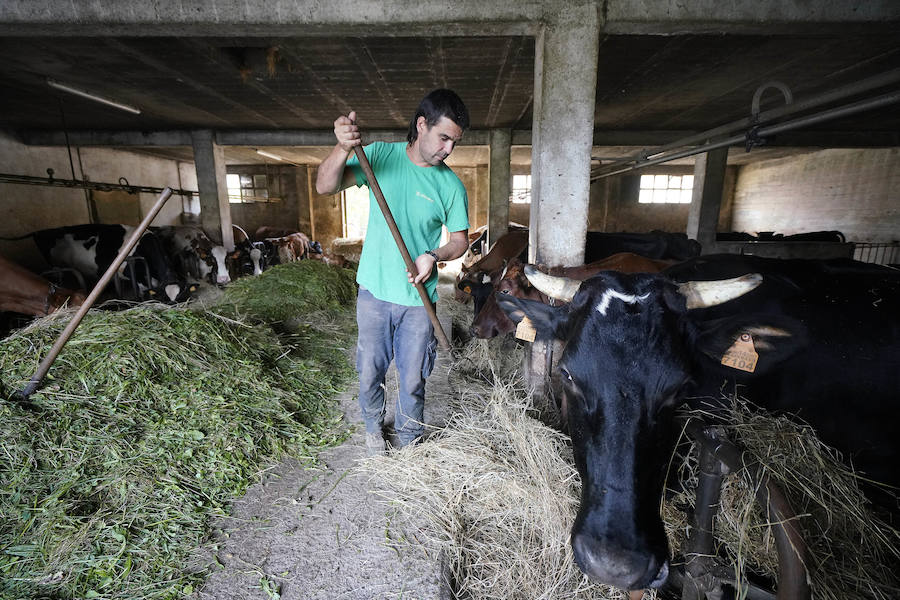 Gorka Iruretagoiena es un joven guipuzcoano que está orgulloso de formar parte del grupo de especialistas que hace sustituciones en un mundo, el rural, en el que es complejo tener días de fiesta