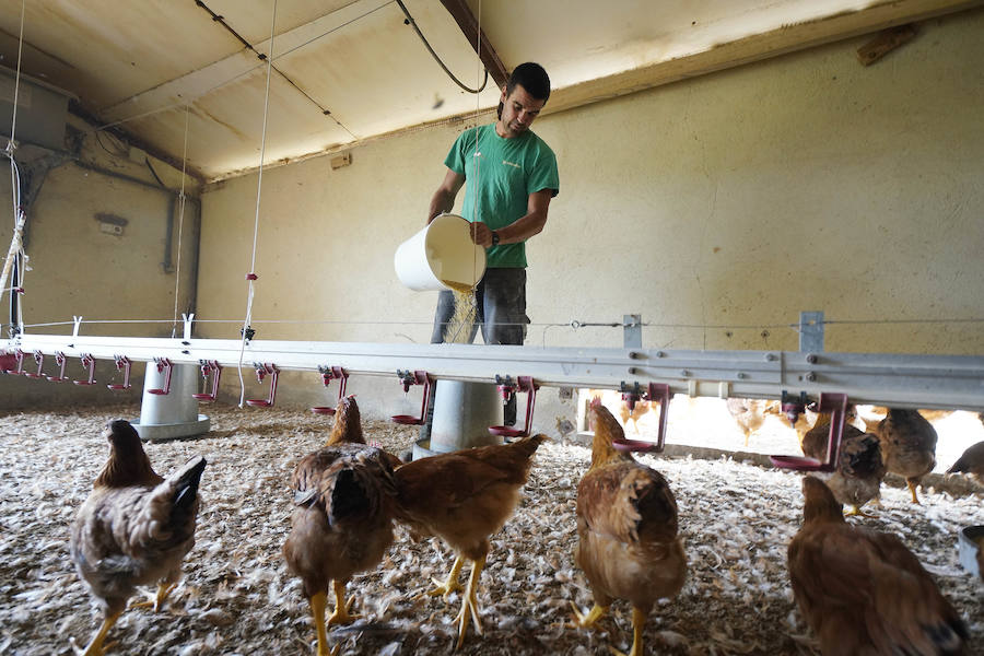 Gorka Iruretagoiena es un joven guipuzcoano que está orgulloso de formar parte del grupo de especialistas que hace sustituciones en un mundo, el rural, en el que es complejo tener días de fiesta