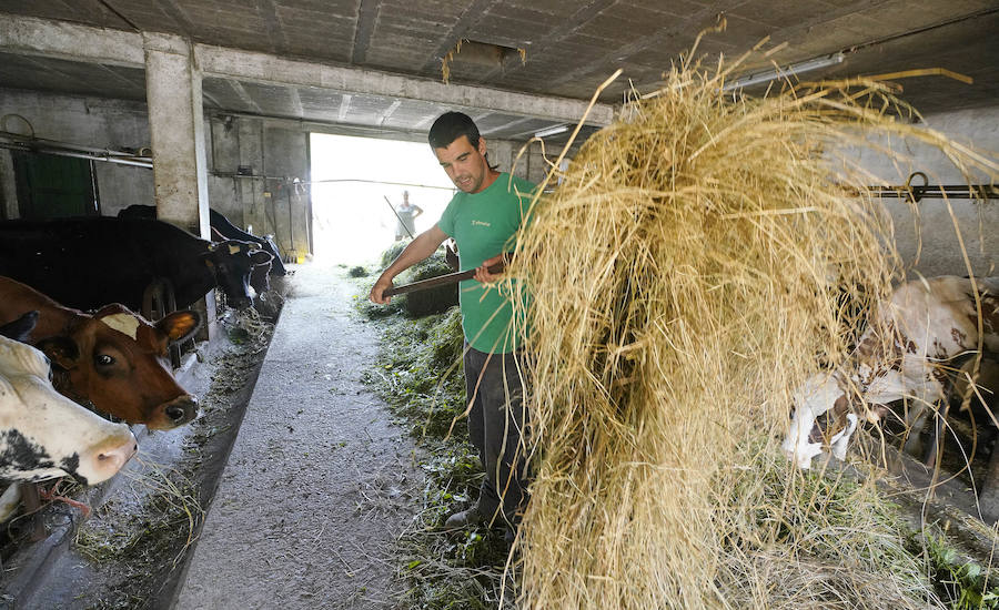 Gorka Iruretagoiena es un joven guipuzcoano que está orgulloso de formar parte del grupo de especialistas que hace sustituciones en un mundo, el rural, en el que es complejo tener días de fiesta