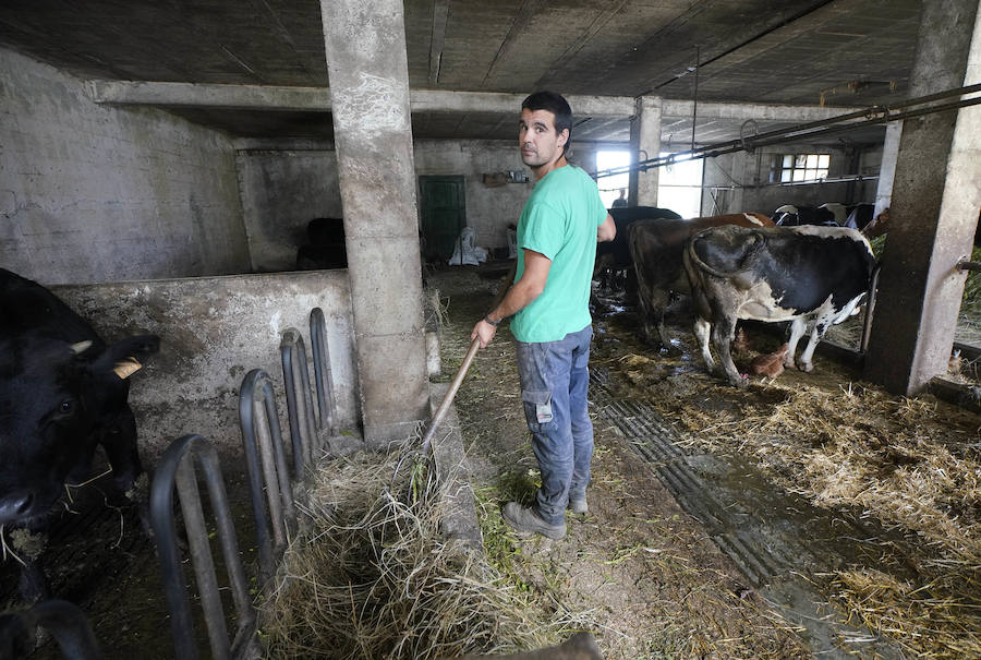 Gorka Iruretagoiena es un joven guipuzcoano que está orgulloso de formar parte del grupo de especialistas que hace sustituciones en un mundo, el rural, en el que es complejo tener días de fiesta