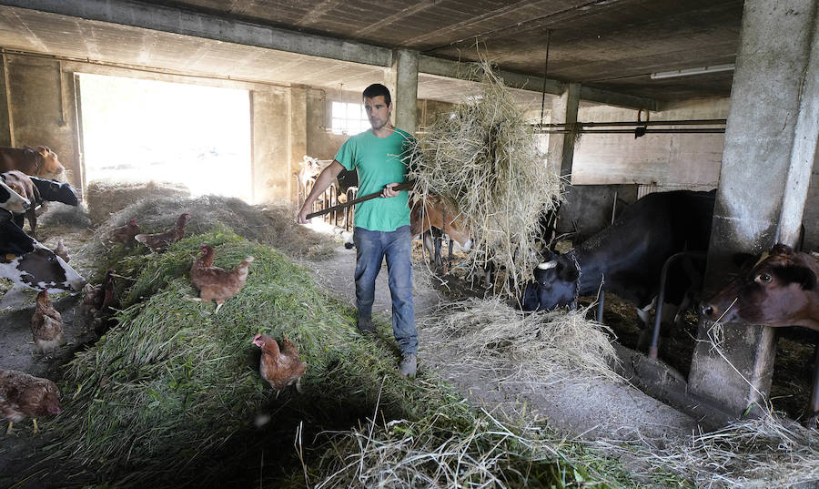 Gorka Iruretagoiena es un joven guipuzcoano que está orgulloso de formar parte del grupo de especialistas que hace sustituciones en un mundo, el rural, en el que es complejo tener días de fiesta