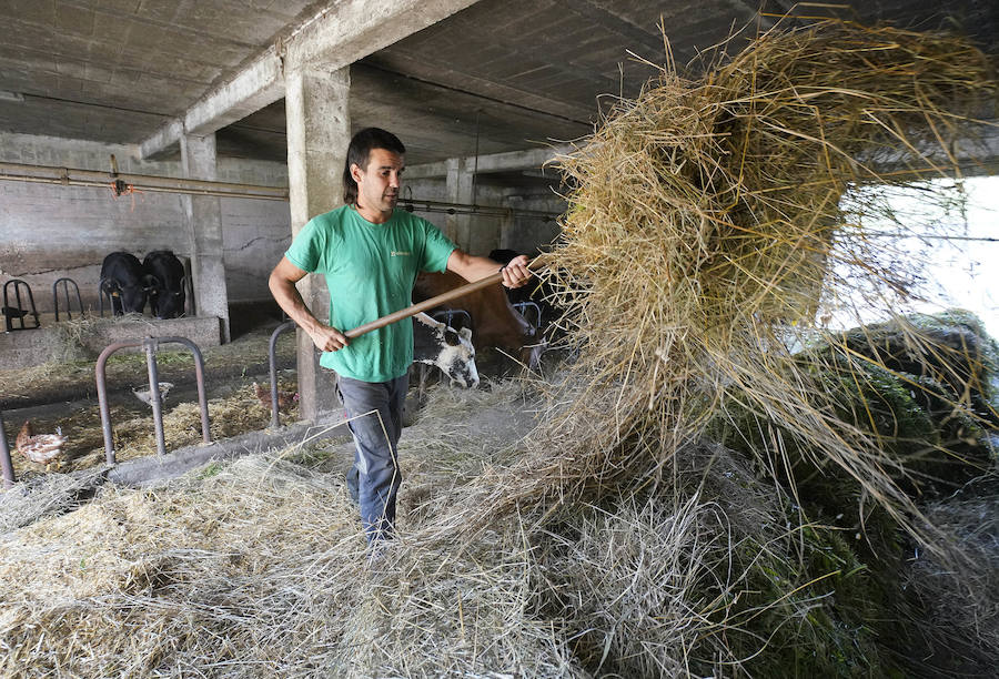 Gorka Iruretagoiena es un joven guipuzcoano que está orgulloso de formar parte del grupo de especialistas que hace sustituciones en un mundo, el rural, en el que es complejo tener días de fiesta