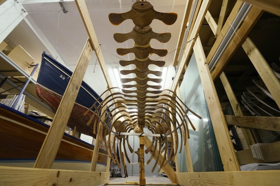 Un almacén oculto en un barrio de Donostia atesora miles de joyas que no tienen cabida en el Aquarium 