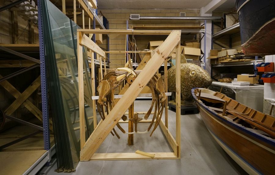 Un almacén oculto en un barrio de Donostia atesora miles de joyas que no tienen cabida en el Aquarium 