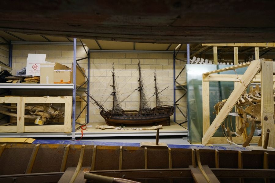 Un almacén oculto en un barrio de Donostia atesora miles de joyas que no tienen cabida en el Aquarium 