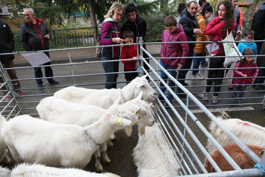 El Concurso de Quesos del Parque Natural Aizkorri-Aratz ha cumplido veinte años, con txapela para una quesería alavesa, la de Patxi López de Uralde, de Larrea.