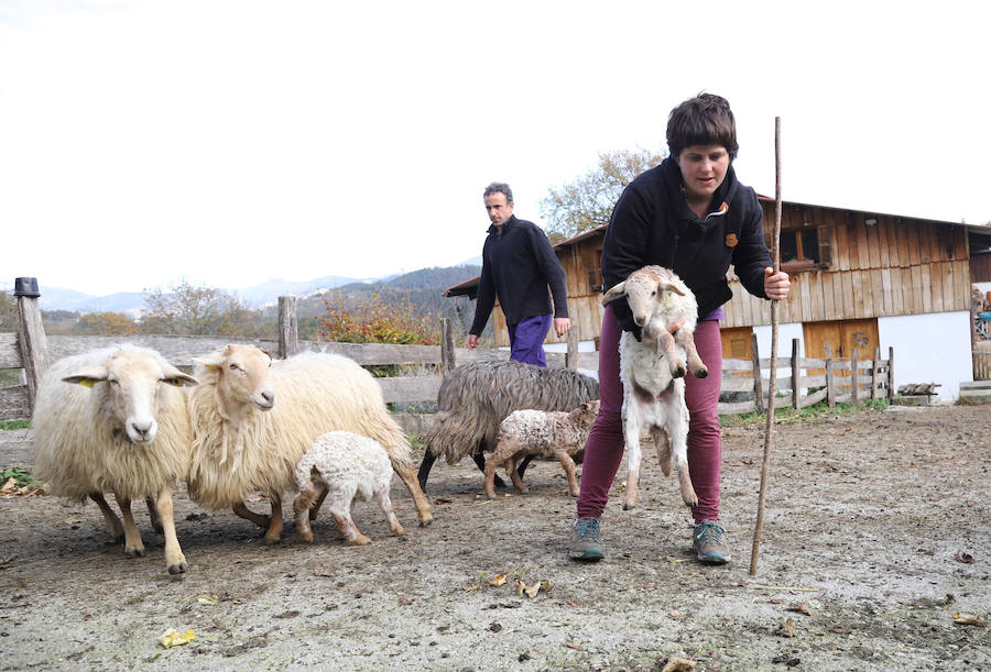 Jon y Martina cambiaron la cocina por el pastoreo y hoy viven felices en su casa y quesería Garoa de Zerain.