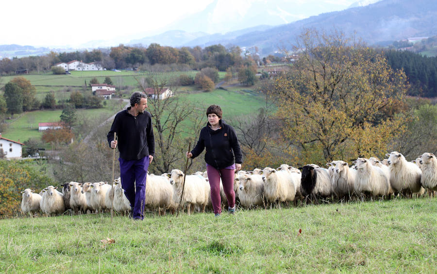 Jon y Martina cambiaron la cocina por el pastoreo y hoy viven felices en su casa y quesería Garoa de Zerain.