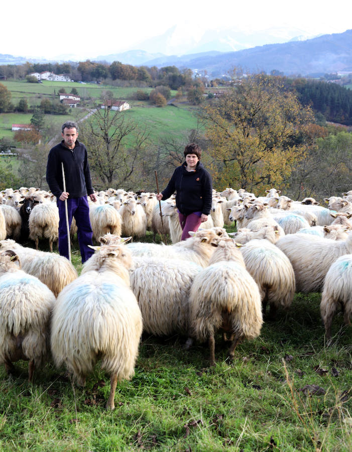 Jon y Martina cambiaron la cocina por el pastoreo y hoy viven felices en su casa y quesería Garoa de Zerain.