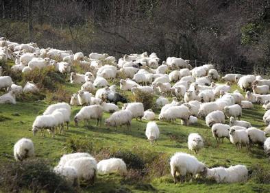 Imagen secundaria 1 - El conflicto asciende por las pistas de Aralar