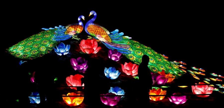 Decenas de curiosos disfrutan del Festival de luces de los Grandes Farolillos de China, en la mansión de Pakruojis, Lituania. Este festival da comienzo a la temporada estival y se prolonga hasta el 6 de enero de 2019.