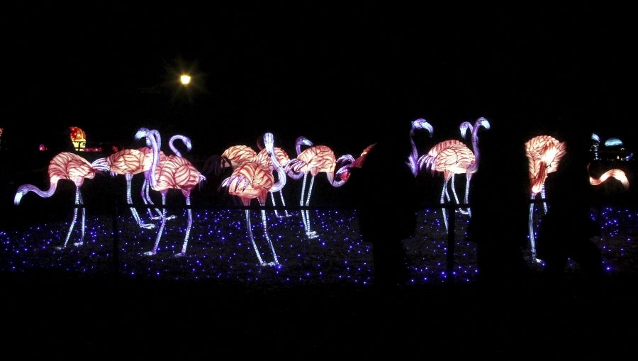 Decenas de curiosos disfrutan del Festival de luces de los Grandes Farolillos de China, en la mansión de Pakruojis, Lituania. Este festival da comienzo a la temporada estival y se prolonga hasta el 6 de enero de 2019.