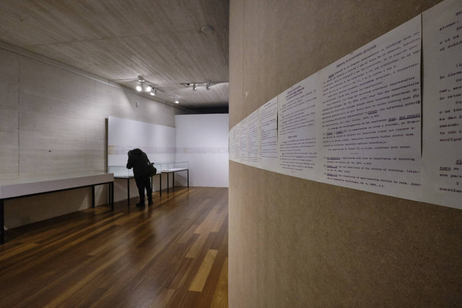 Fotos: Exposición sobre el Padre Laburu, en San Telmo