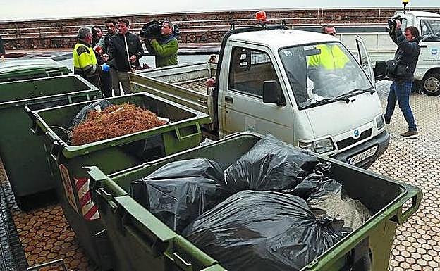 Los contenedores donde apareció la niña, junto a la Sociedad Fotográfica