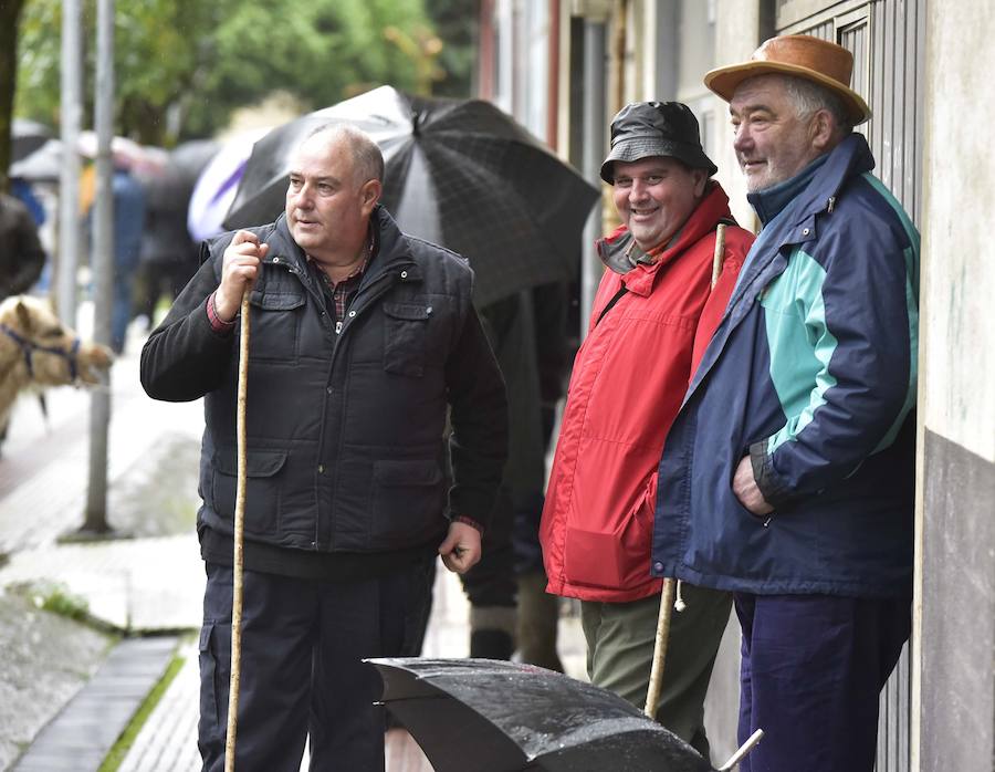 La Feria de Santa Lucía se ha celebrado este jueves con gran éxito en Zumarraga y Urretxu, con 414 puestos de venta de productos agrícolas, ganaderos, de repostería y artesanía.
