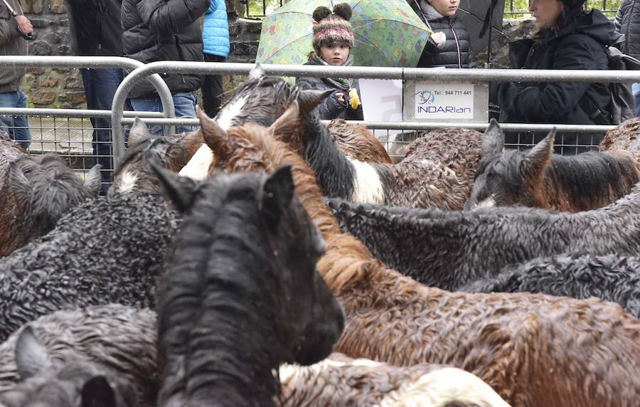La Feria de Santa Lucía se ha celebrado este jueves con gran éxito en Zumarraga y Urretxu, con 414 puestos de venta de productos agrícolas, ganaderos, de repostería y artesanía.