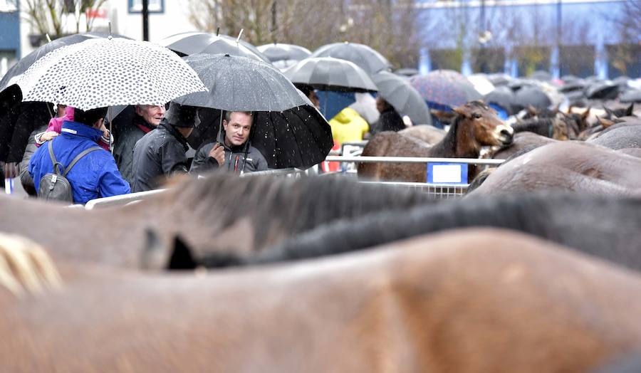 La Feria de Santa Lucía se ha celebrado este jueves con gran éxito en Zumarraga y Urretxu, con 414 puestos de venta de productos agrícolas, ganaderos, de repostería y artesanía.