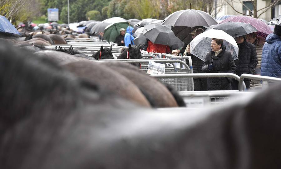La Feria de Santa Lucía se ha celebrado este jueves con gran éxito en Zumarraga y Urretxu, con 414 puestos de venta de productos agrícolas, ganaderos, de repostería y artesanía.