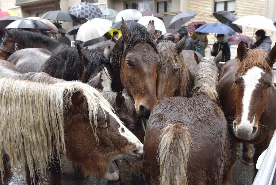 La Feria de Santa Lucía se ha celebrado este jueves con gran éxito en Zumarraga y Urretxu, con 414 puestos de venta de productos agrícolas, ganaderos, de repostería y artesanía.