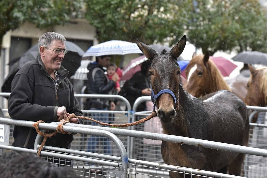 La Feria de Santa Lucía se ha celebrado este jueves con gran éxito en Zumarraga y Urretxu, con 414 puestos de venta de productos agrícolas, ganaderos, de repostería y artesanía.