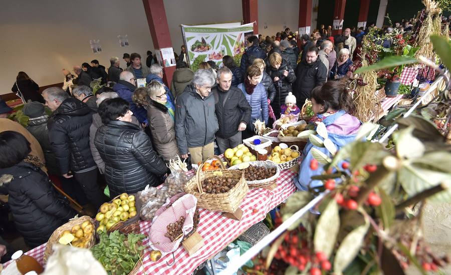 La Feria de Santa Lucía se ha celebrado este jueves con gran éxito en Zumarraga y Urretxu, con 414 puestos de venta de productos agrícolas, ganaderos, de repostería y artesanía.