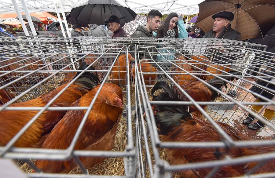 La Feria de Santa Lucía se ha celebrado este jueves con gran éxito en Zumarraga y Urretxu, con 414 puestos de venta de productos agrícolas, ganaderos, de repostería y artesanía.