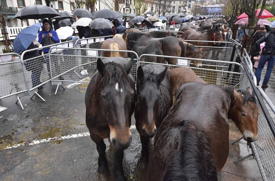 La Feria de Santa Lucía se ha celebrado este jueves con gran éxito en Zumarraga y Urretxu, con 414 puestos de venta de productos agrícolas, ganaderos, de repostería y artesanía.
