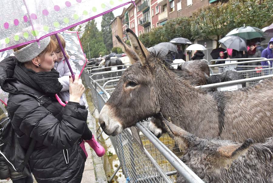 La Feria de Santa Lucía se ha celebrado este jueves con gran éxito en Zumarraga y Urretxu, con 414 puestos de venta de productos agrícolas, ganaderos, de repostería y artesanía.