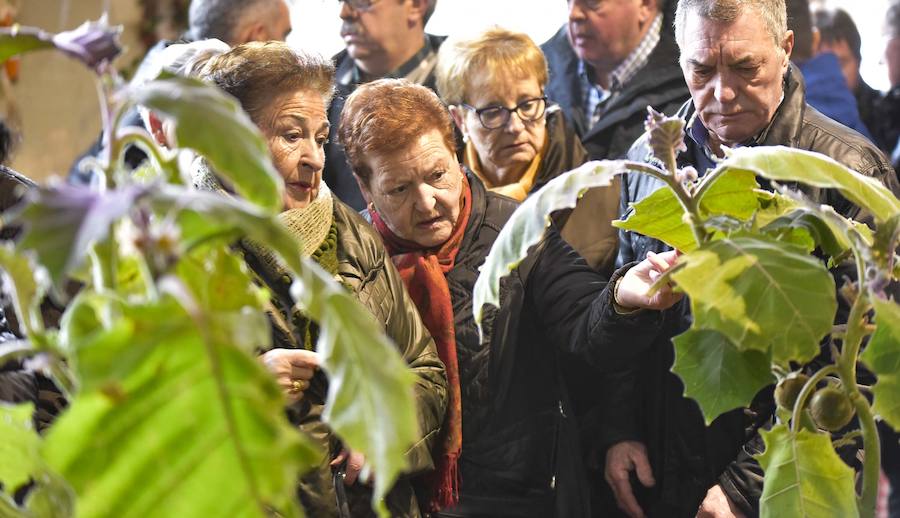 La Feria de Santa Lucía se ha celebrado este jueves con gran éxito en Zumarraga y Urretxu, con 414 puestos de venta de productos agrícolas, ganaderos, de repostería y artesanía.