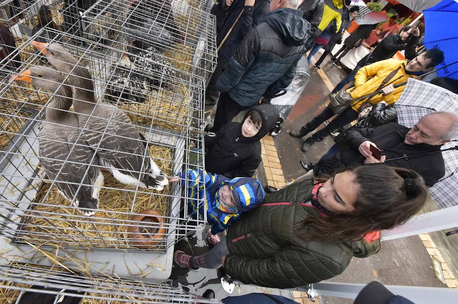 La Feria de Santa Lucía se ha celebrado este jueves con gran éxito en Zumarraga y Urretxu, con 414 puestos de venta de productos agrícolas, ganaderos, de repostería y artesanía.
