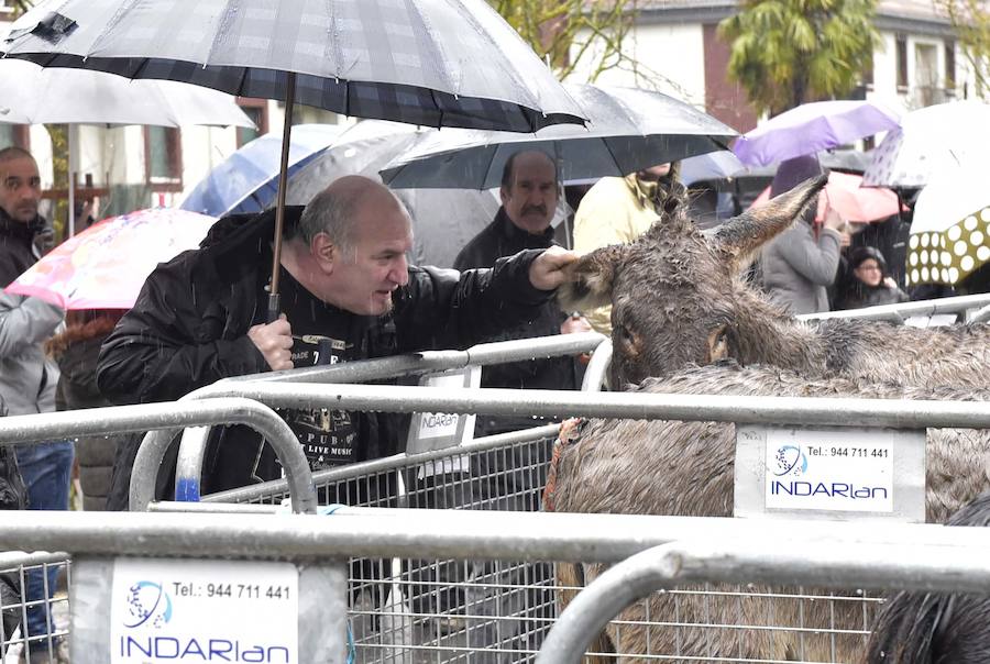 La Feria de Santa Lucía se ha celebrado este jueves con gran éxito en Zumarraga y Urretxu, con 414 puestos de venta de productos agrícolas, ganaderos, de repostería y artesanía.