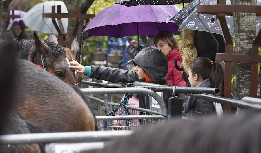 La Feria de Santa Lucía se ha celebrado este jueves con gran éxito en Zumarraga y Urretxu, con 414 puestos de venta de productos agrícolas, ganaderos, de repostería y artesanía.
