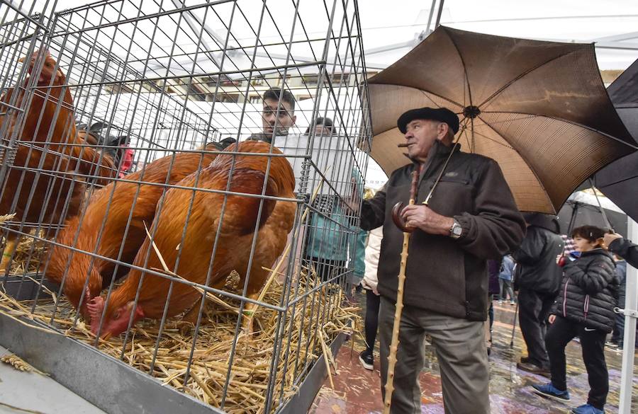 La Feria de Santa Lucía se ha celebrado este jueves con gran éxito en Zumarraga y Urretxu, con 414 puestos de venta de productos agrícolas, ganaderos, de repostería y artesanía.