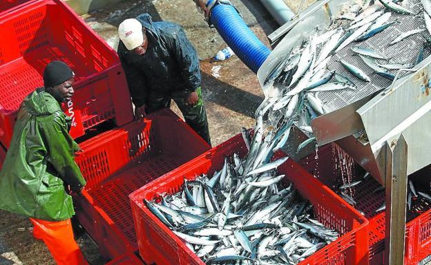 Satisfacción en el sector pesquero con los incrementos de las cuotas alcanzado en Bruselas