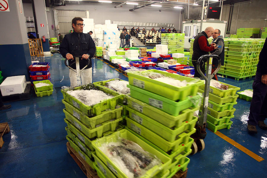 La lonja de Pasaia vivió ayer una agitada madrugada, con decenas de mayoristas, minoristas y pescateros en busca del mejor producto que trajeron los barcos.