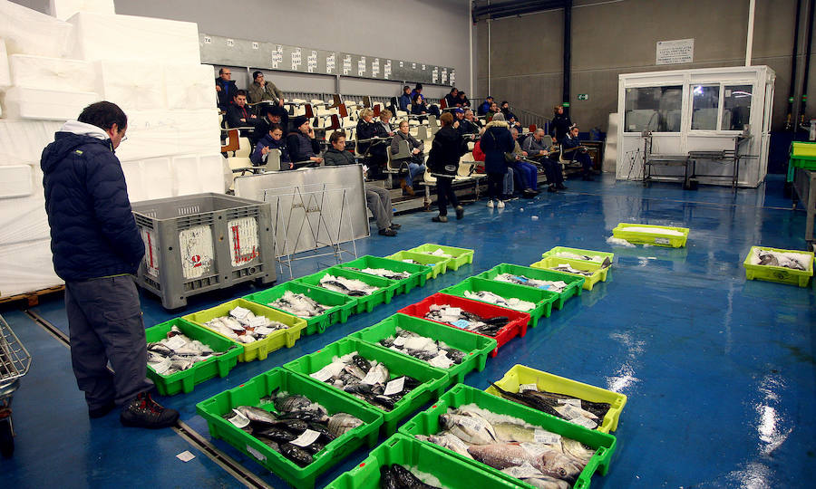 La lonja de Pasaia vivió ayer una agitada madrugada, con decenas de mayoristas, minoristas y pescateros en busca del mejor producto que trajeron los barcos.