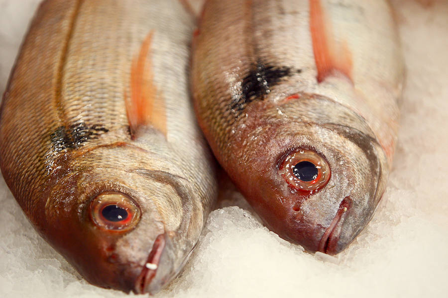 La lonja de Pasaia vivió ayer una agitada madrugada, con decenas de mayoristas, minoristas y pescateros en busca del mejor producto que trajeron los barcos.