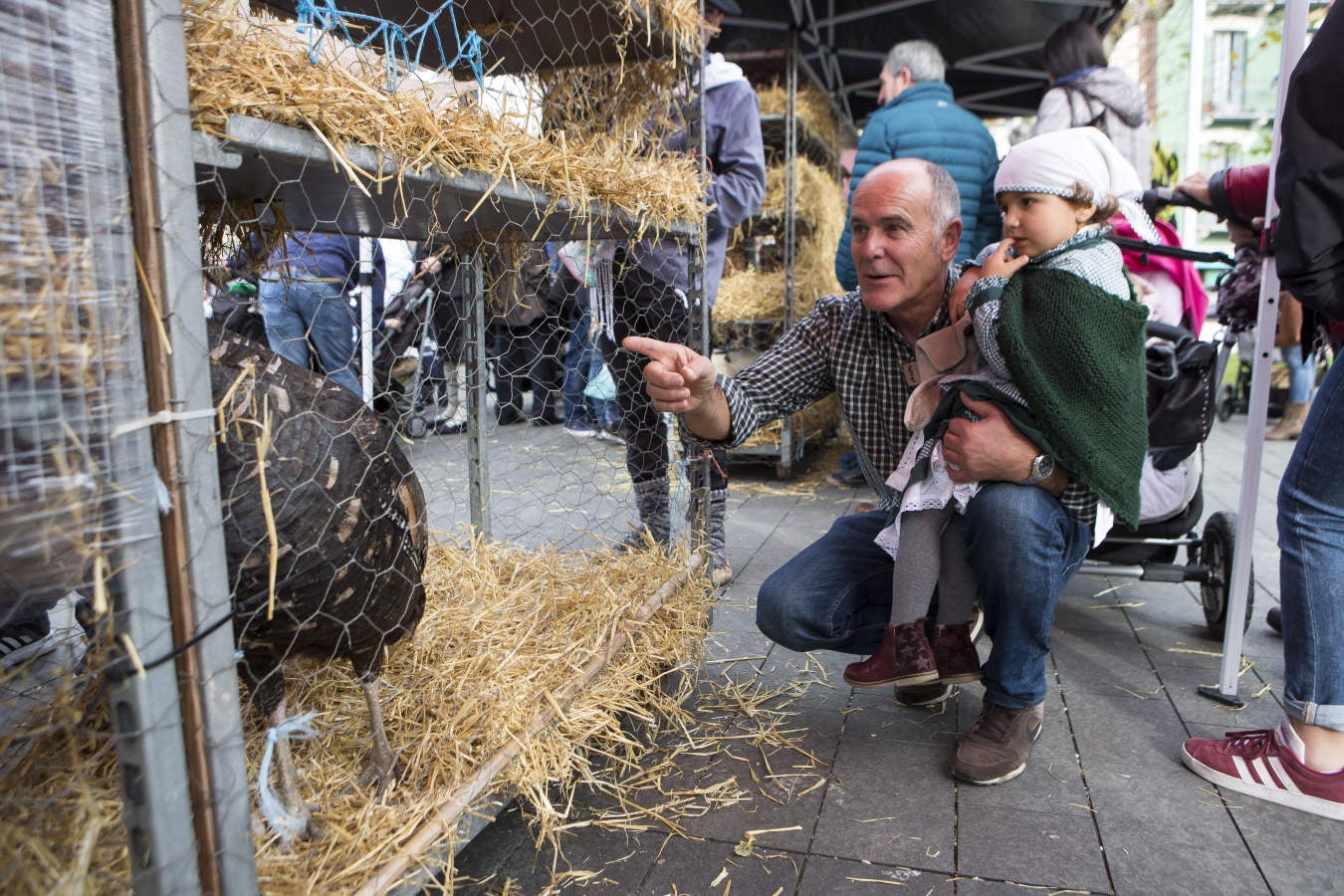 En la Plaza de Urdanibia se ha celebrado la tradicional feria de Santo Tomás con el concurso de Verduras, Animales y Miel y con la actuación de grupos de Dantza y Trikitixas.