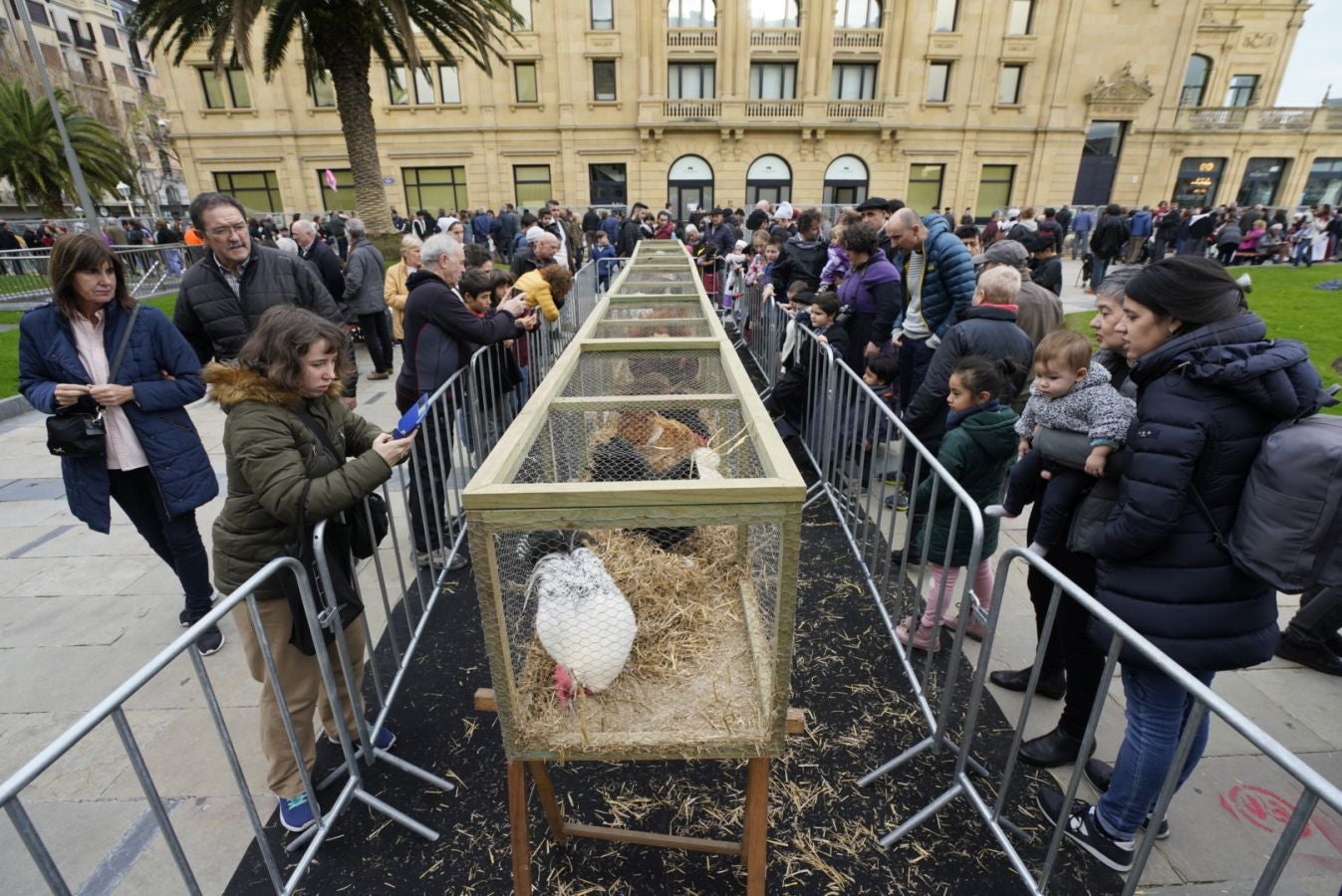 Donostia se viste de tradición y buen ambiente por Santo Tomás. Los diferentes puestos de talos y txistorra funcionan a pleno rendimiento desde primera hora, y los puestos de verduras, frutas, reposteria, pan y artesanías contribuyen a dar color a la ciudad. 