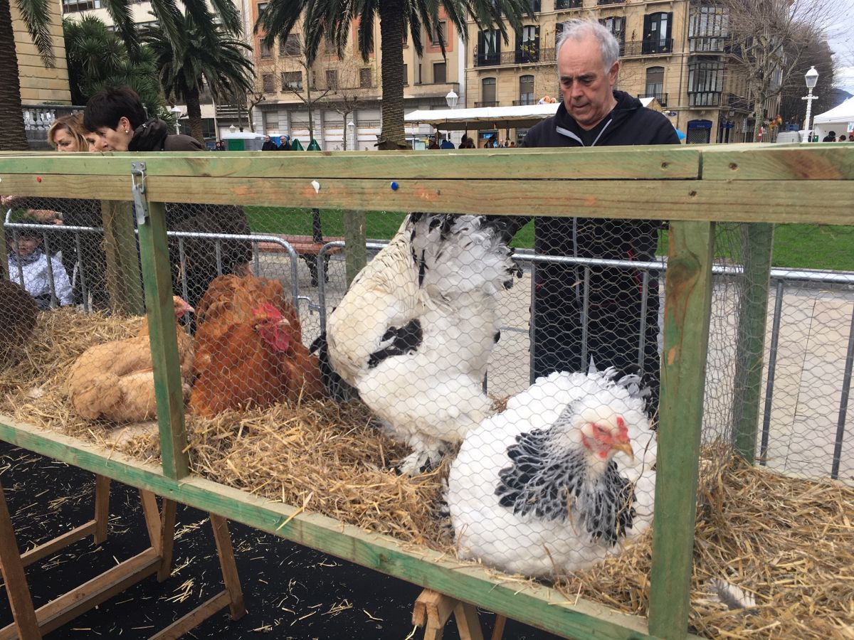 Donostia se viste de tradición y buen ambiente por Santo Tomás. Los diferentes puestos de talos y txistorra funcionan a pleno rendimiento desde primera hora, y los puestos de verduras, frutas, reposteria, pan y artesanías contribuyen a dar color a la ciudad. 