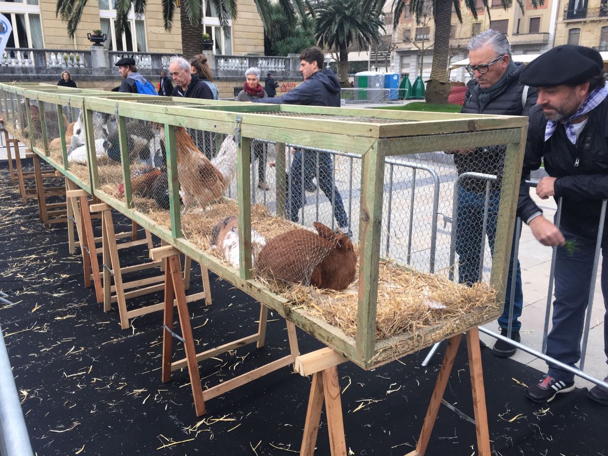 Donostia se viste de tradición y buen ambiente por Santo Tomás. Los diferentes puestos de talos y txistorra funcionan a pleno rendimiento desde primera hora, y los puestos de verduras, frutas, reposteria, pan y artesanías contribuyen a dar color a la ciudad. 