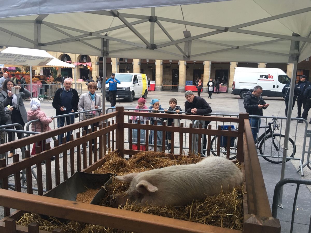 Donostia se viste de tradición y buen ambiente por Santo Tomás. Los diferentes puestos de talos y txistorra funcionan a pleno rendimiento desde primera hora, y los puestos de verduras, frutas, reposteria, pan y artesanías contribuyen a dar color a la ciudad. 