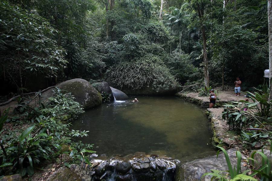 Ya ha comenzado ell verano austral. Pero las playas de Río de Janeiro ya están llenas de bañistas desde hace unas semanas. Y es que el calor aprieta. El martes los termómetros alcanzaron 40,7 grados en la zona oeste de la ciudad, en el que ha sido el día más caluroso en varios años, con una sensación térmica de 45 grados. El mar está calmado y apenas hay olas en las transparentes aguas. Las imágenes han sido tomadas en la Floresta de Tijuca, el bosque urbano más grande del mundo, y en los arenales del oeste de Río.