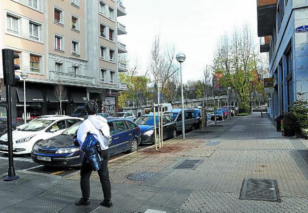 Nuevos ejemplares plantados en la calle Azpeitia tras la tala de los antiguos árboles. 